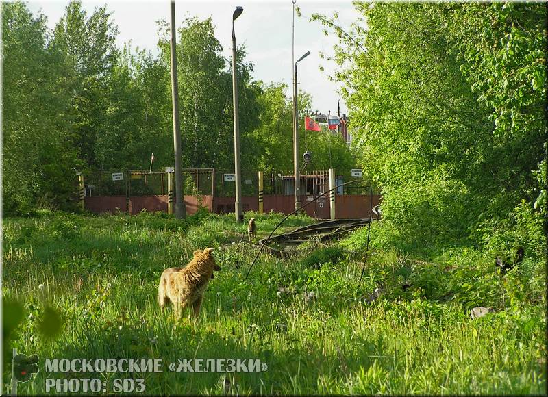 Нажмите для перехода к следующему фото.