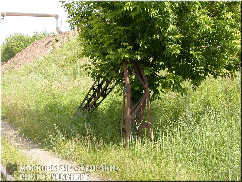 Нажмите для перехода к следующему фото.